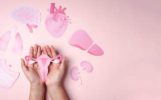 Cykl menstruacyjny a feromony