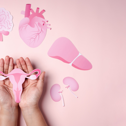 Cykl menstruacyjny a feromony